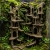 Zaginione Ruiny – duża aranżacja do terrarium 290 mm