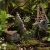 Zrujnowany Dom 150 mm – ruiny do aranżacji terrarium
