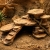 Kryjówka skalna do terrarium Sandstone Hideaway 190 mm ręcznie malowana