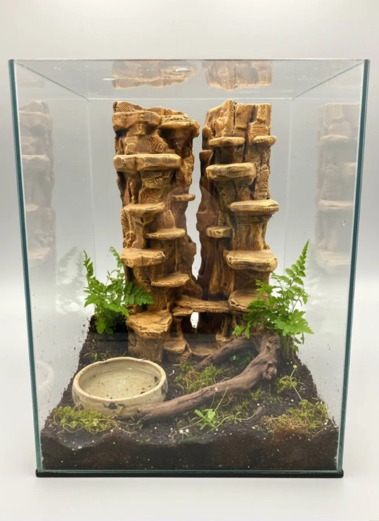 Kanion Skakuna w aranżacji terrarium dla pająka skaczącego