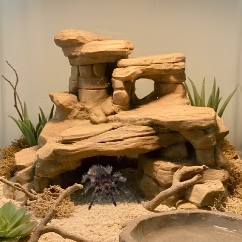Pustynna Grota skalna dekoracja do terrarium 100 mm