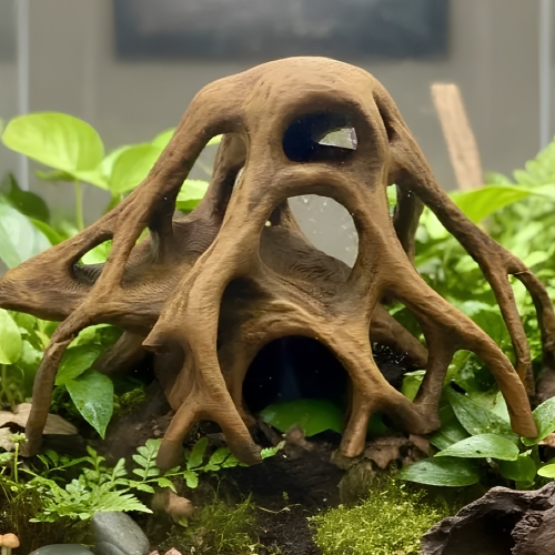 Korzeń Mangrowca 180 mm w naturalistycznej aranżacji terrarium
