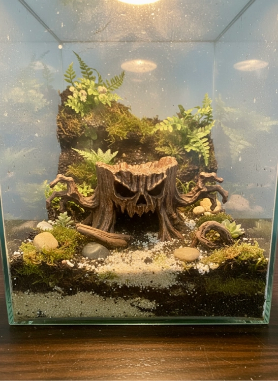 Upiorny Pniak w mrocznej naturalistycznej aranżacji terrarium