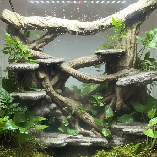 Leśne tło do terrarium o wymiarach 290 × 290 × 103 mm