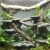 Leśne tło do terrarium o wymiarach 290 × 290 × 103 mm
