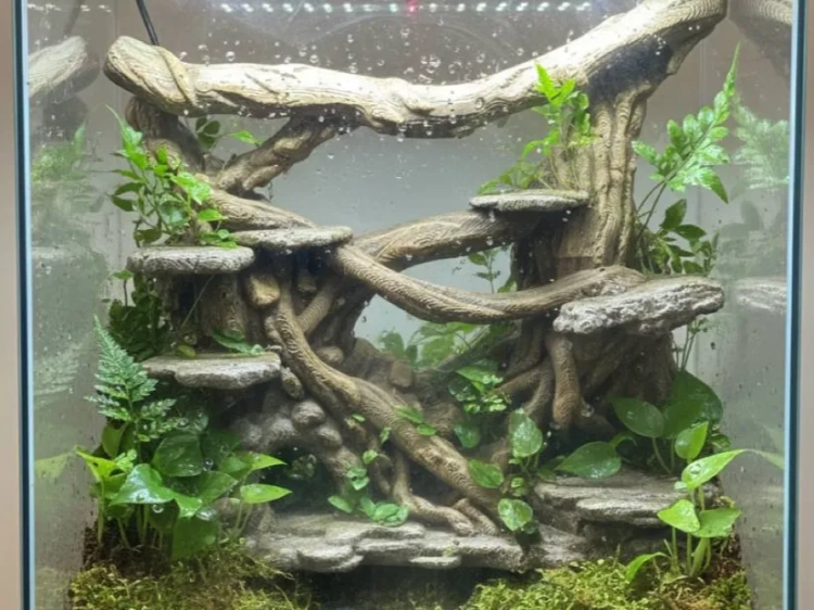 Ścianka wspinaczkowa do terrarium widok z przodu