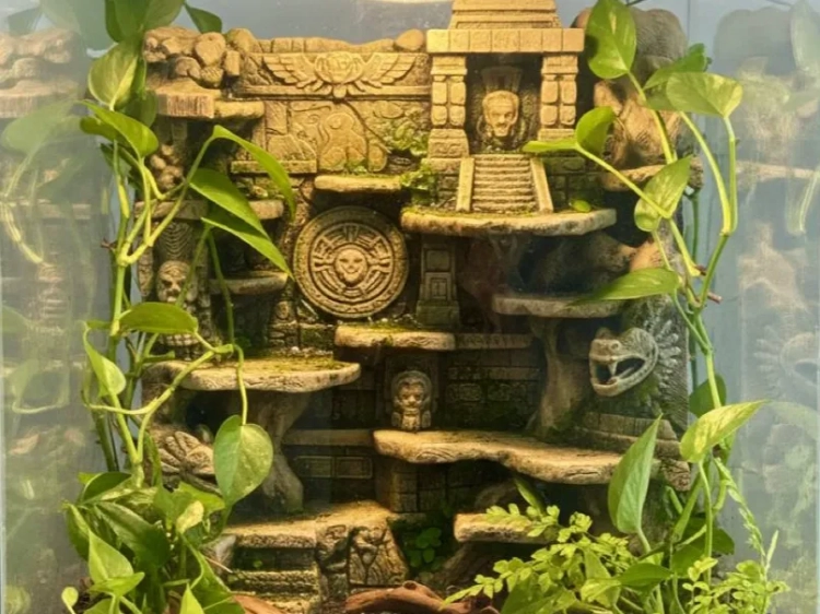 Rzeźbione maski i okrągły relief na ściance do terrarium